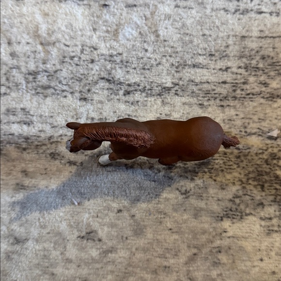 Shellac • horse - Picture 6 of 7